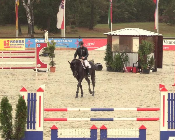 Reitturnier Westergellersen 2020