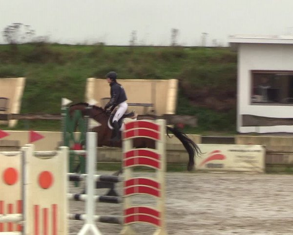 Reitturnier Schülp / Rendsburg 2020