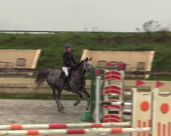 Reitturnier Schülp / Rendsburg 2020