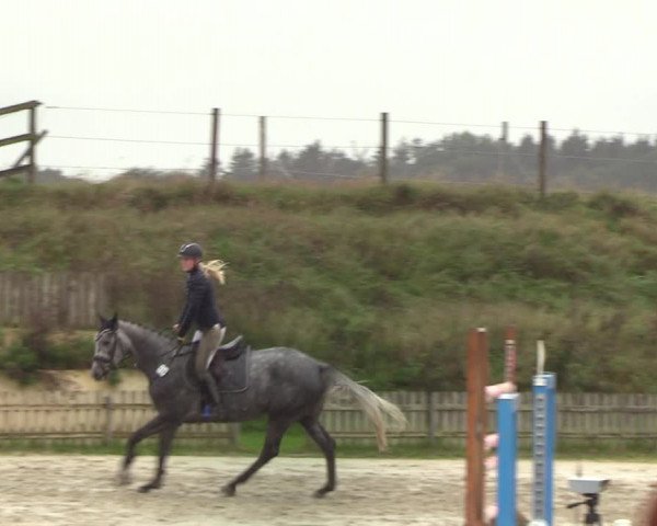 Reitturnier Schülp / Rendsburg 2020