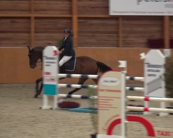 Reitturnier Xanten - Reitanlage Miss 2020