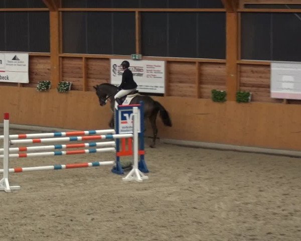 Reitturnier Xanten - Reitanlage Miss 2020
