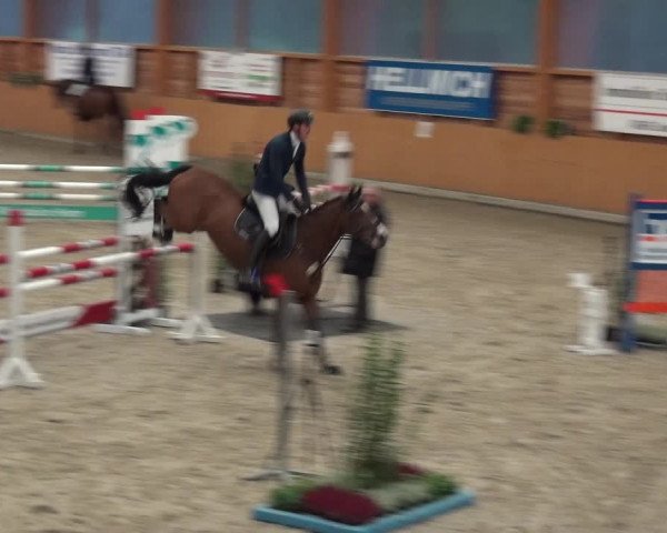 Reitturnier Xanten - Reitanlage Miss 2020