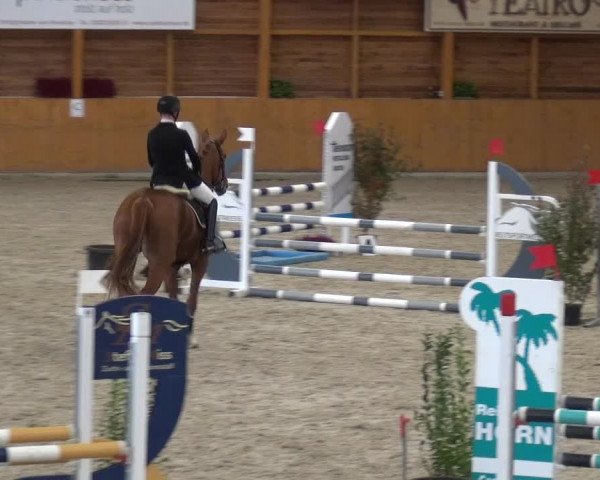 Reitturnier Xanten - Reitanlage Miss 2020