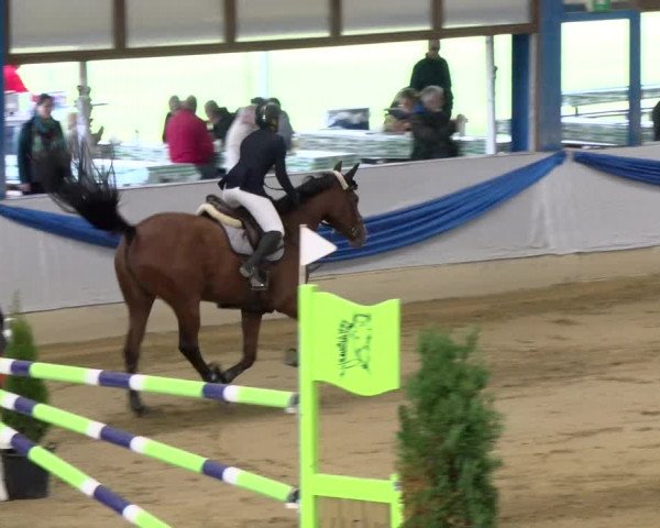 Reitturnier Buchs 2021