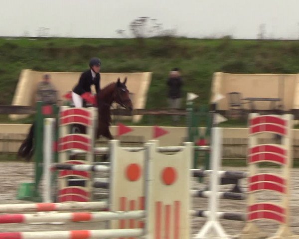 Reitturnier Schülp / Rendsburg 2020