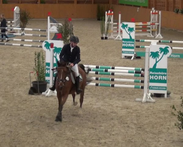 Reitturnier Xanten - Reitanlage Miss 2020