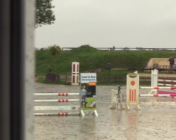 Reitturnier Schülp / Rendsburg 2020