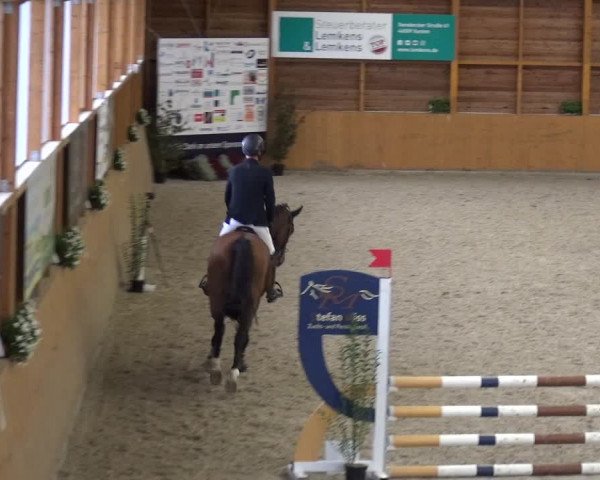 Reitturnier Xanten - Reitanlage Miss 2020
