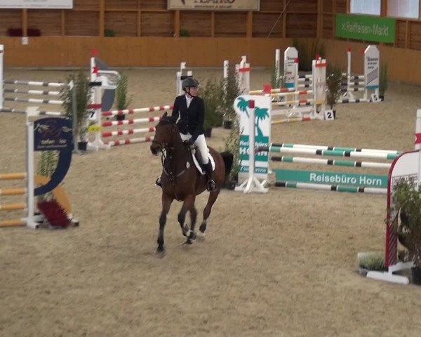 Reitturnier Xanten - Reitanlage Miss 2020