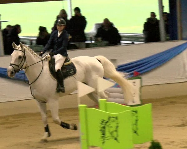 Reitturnier Buchs 2021
