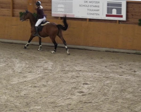 Reitturnier Xanten - Reitanlage Miss 2020