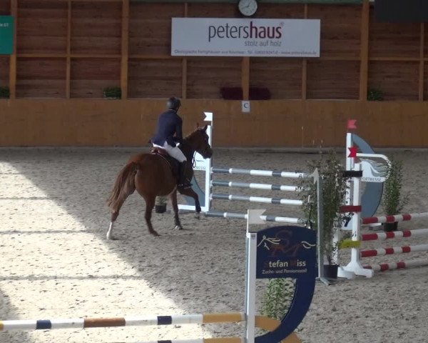 Reitturnier Xanten - Reitanlage Miss 2020