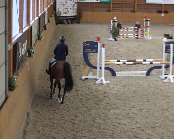 Reitturnier Xanten - Reitanlage Miss 2020