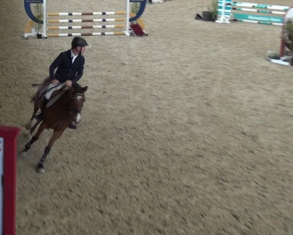 Reitturnier Xanten - Reitanlage Miss 2020