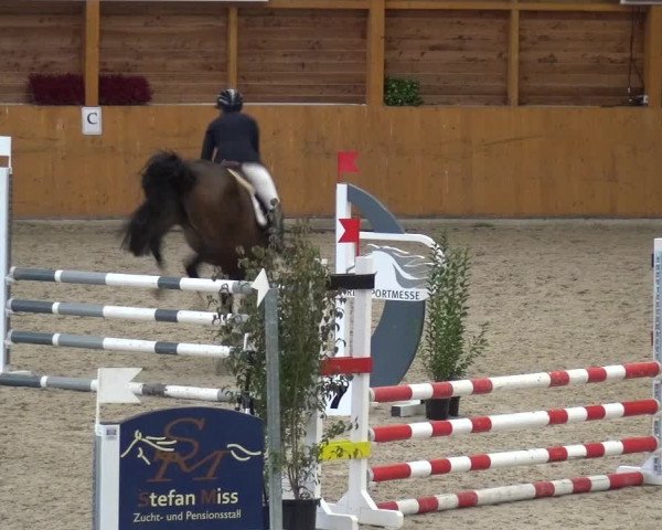 Reitturnier Xanten - Reitanlage Miss 2020