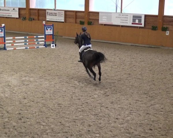 Reitturnier Xanten - Reitanlage Miss 2020