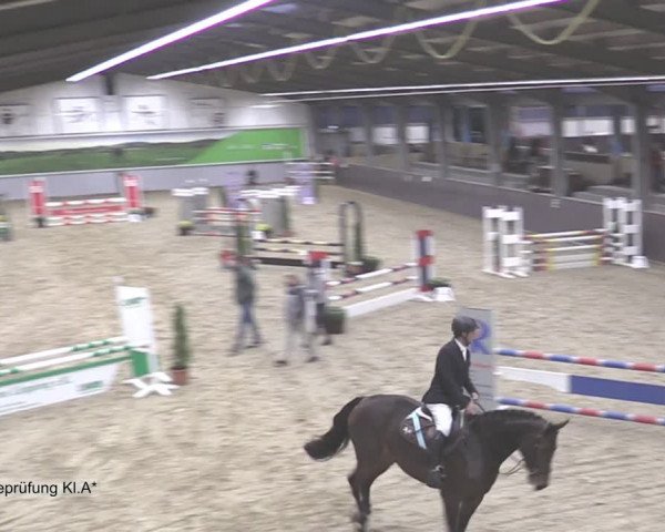 Reitturnier Legden 2020