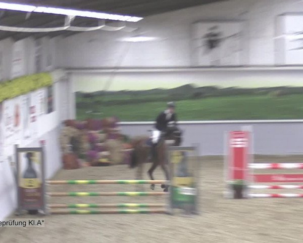 Reitturnier Legden 2020