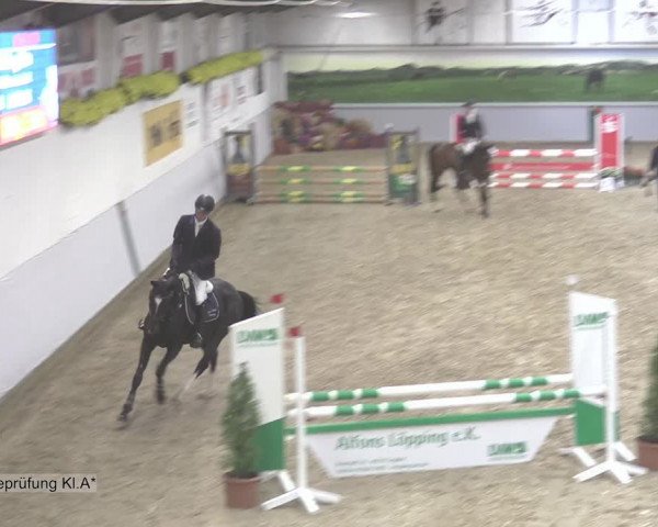Reitturnier Legden 2020