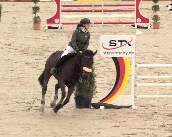 Reitturnier Westergellersen 2020