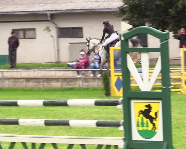 Reitturnier Altmittweida 2021