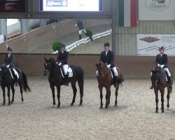 dressage horse Hello Again 4 (Hanoverian, 2006, from Hochadel)