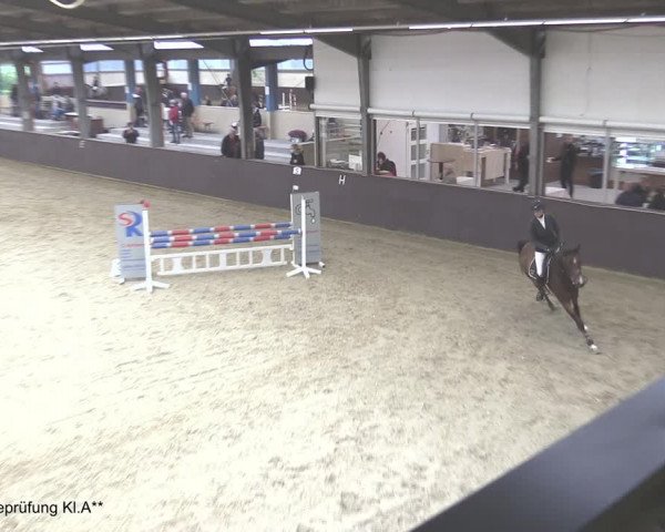 Reitturnier Legden 2020