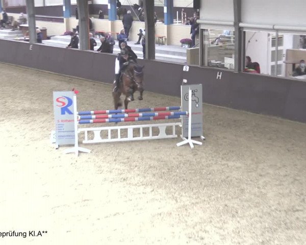 Reitturnier Legden 2020