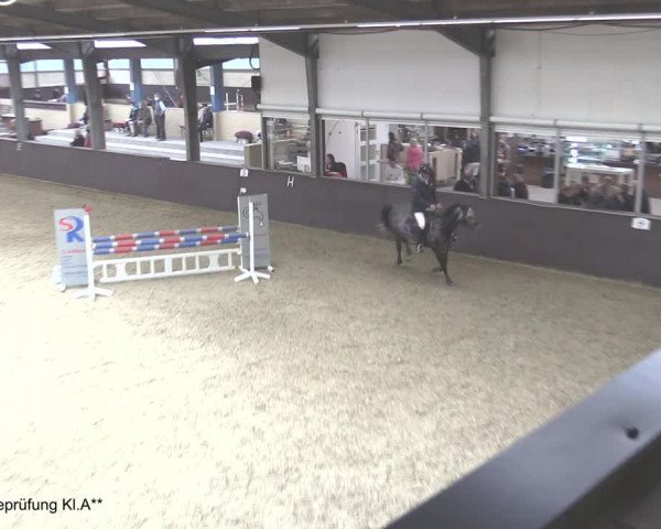 Reitturnier Legden 2020
