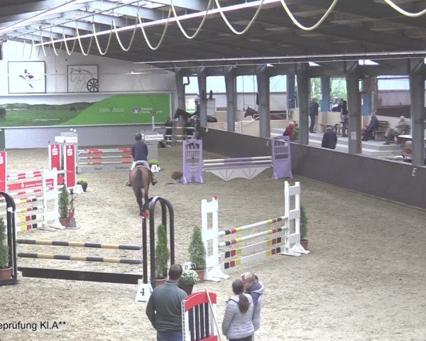 Reitturnier Legden 2020