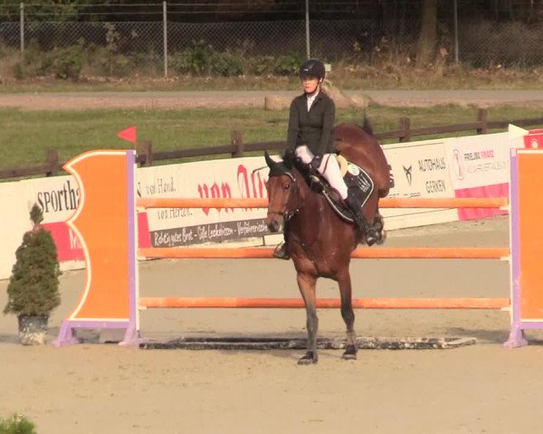 Reitturnier Westergellersen 2020