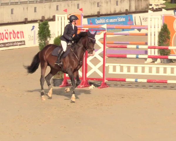 Reitturnier Westergellersen 2020