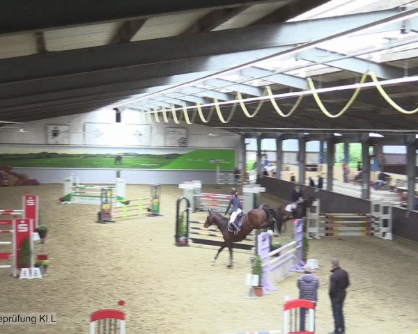 Reitturnier Legden 2020