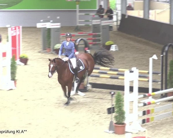Reitturnier Legden 2020