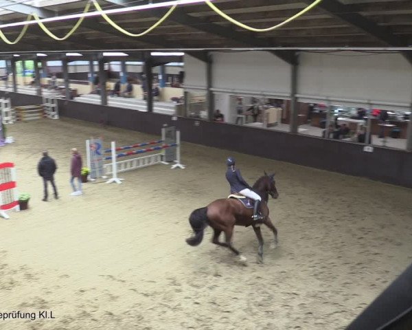 Reitturnier Legden 2020