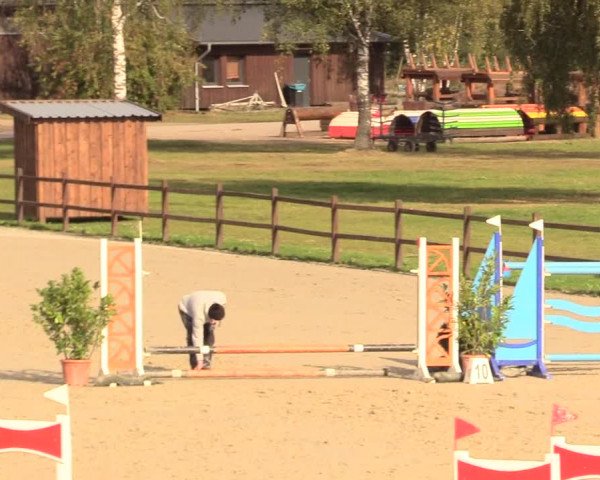 Reitturnier Westergellersen 2020