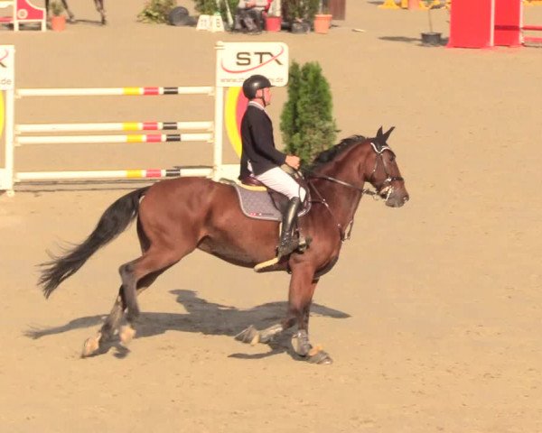 Reitturnier Westergellersen 2020