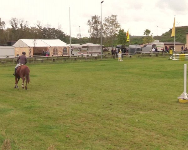 Reitturnier Gardelegen 2020