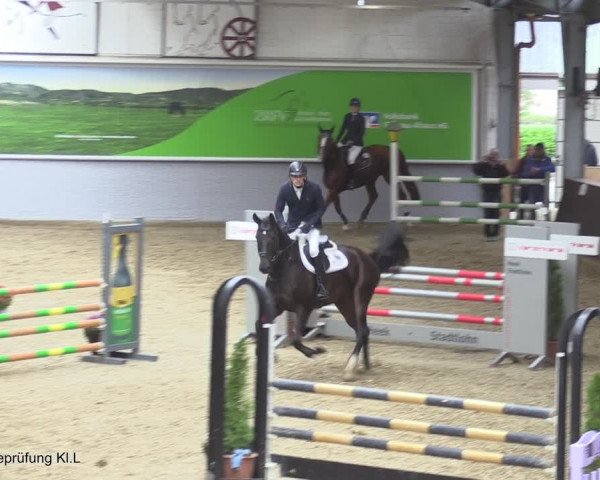 Reitturnier Legden 2020
