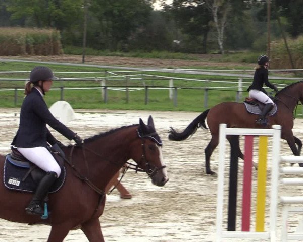 Reitturnier Altenberge 2020