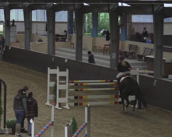Reitturnier Legden 2020