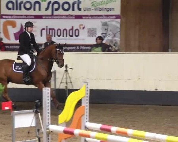 jumper Casino Royal 24 (Oldenburg, 2008, from Corofino II)