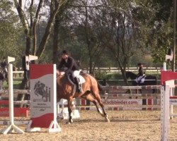 jumper Top Cento (Westphalian, 2009, from Carell)