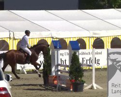 jumper Cantaya 2 (Hanoverian, 2009, from Chasseur I)