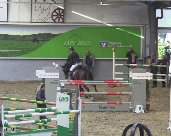 Reitturnier Legden 2020