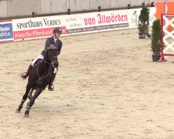 Reitturnier Westergellersen 2020