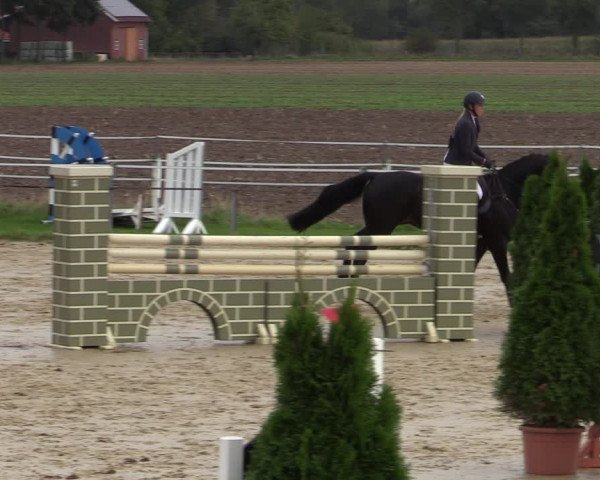 Reitturnier Altenberge 2020