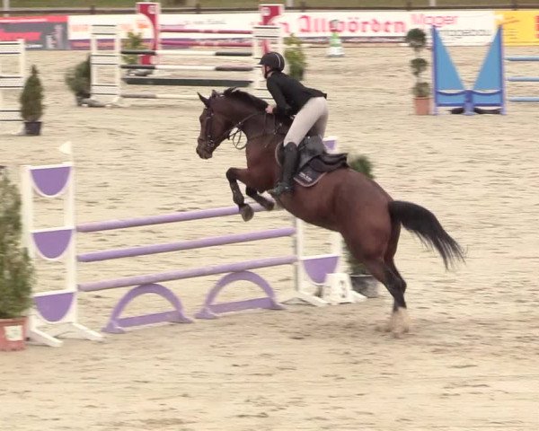 Reitturnier Westergellersen 2020