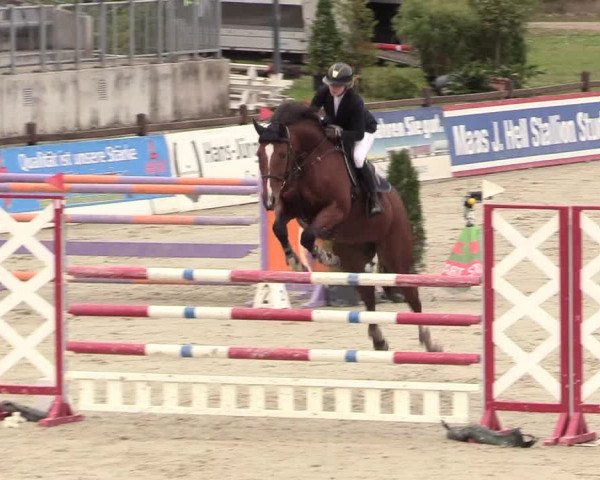 Reitturnier Westergellersen 2020